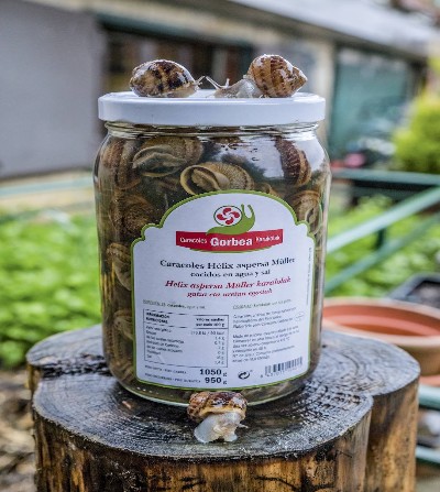 CARACOLES DEL GORBEA (GOIERRI)