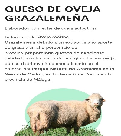 QUESO DE OVEJA EN ACEITEDE OLIVA